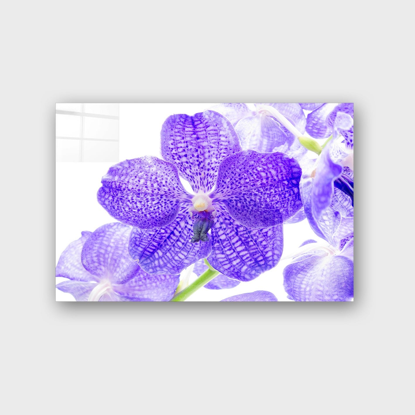 Quadro Decorativo em Vidro Temperado Multicolor 50x70cm - Arte Moderna para Parede