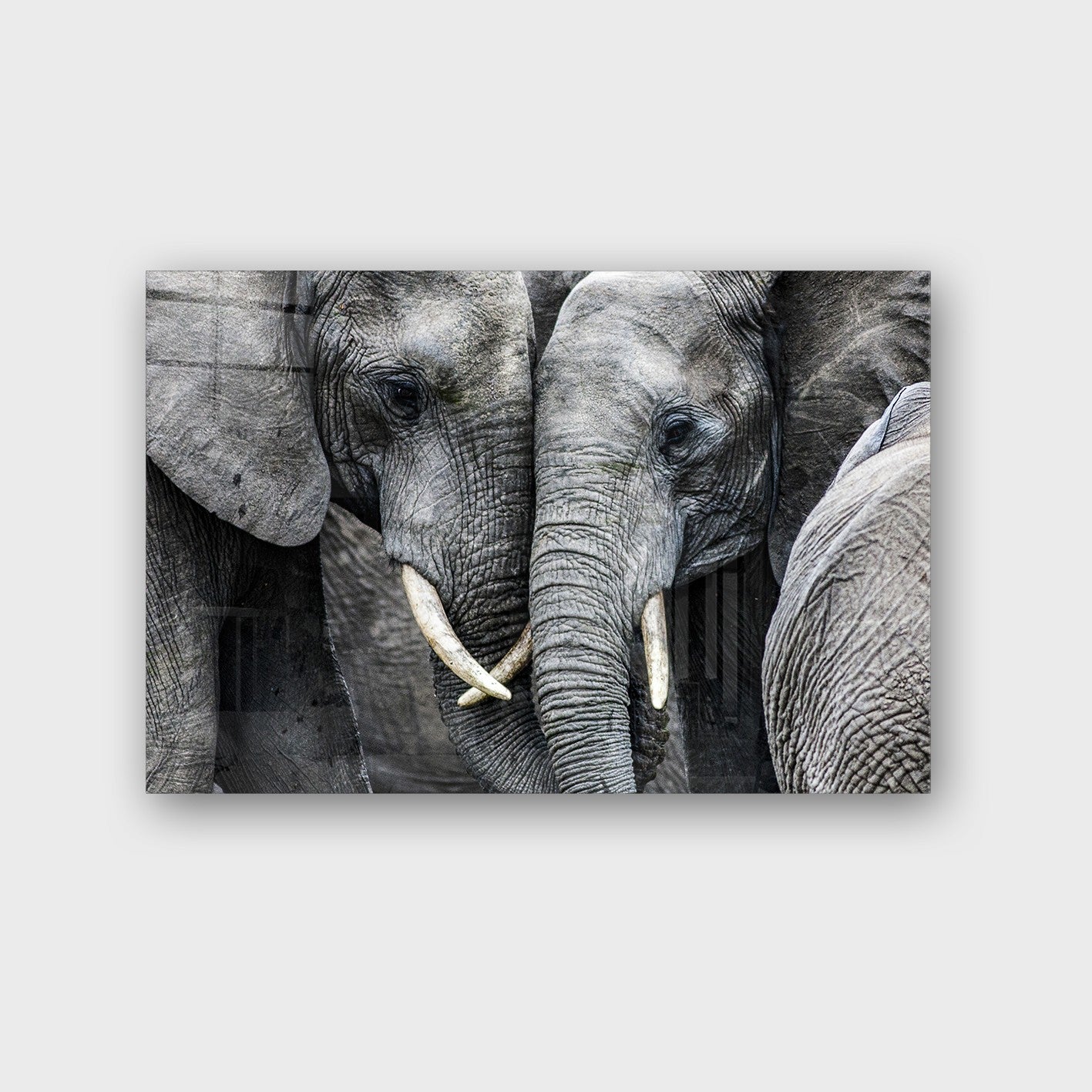 Quadro Decorativo em Vidro Temperado Multicolor 50x70cm - Arte Moderna para Parede