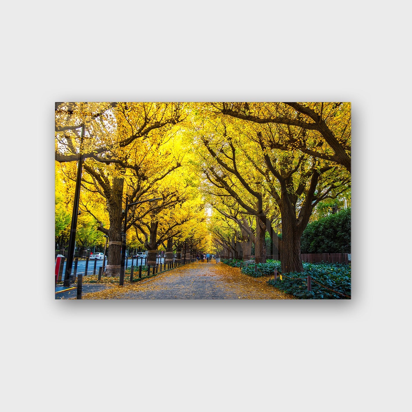 Quadro Decorativo em Vidro Temperado Multicolor 40x60cm - Arte Moderna para Parede