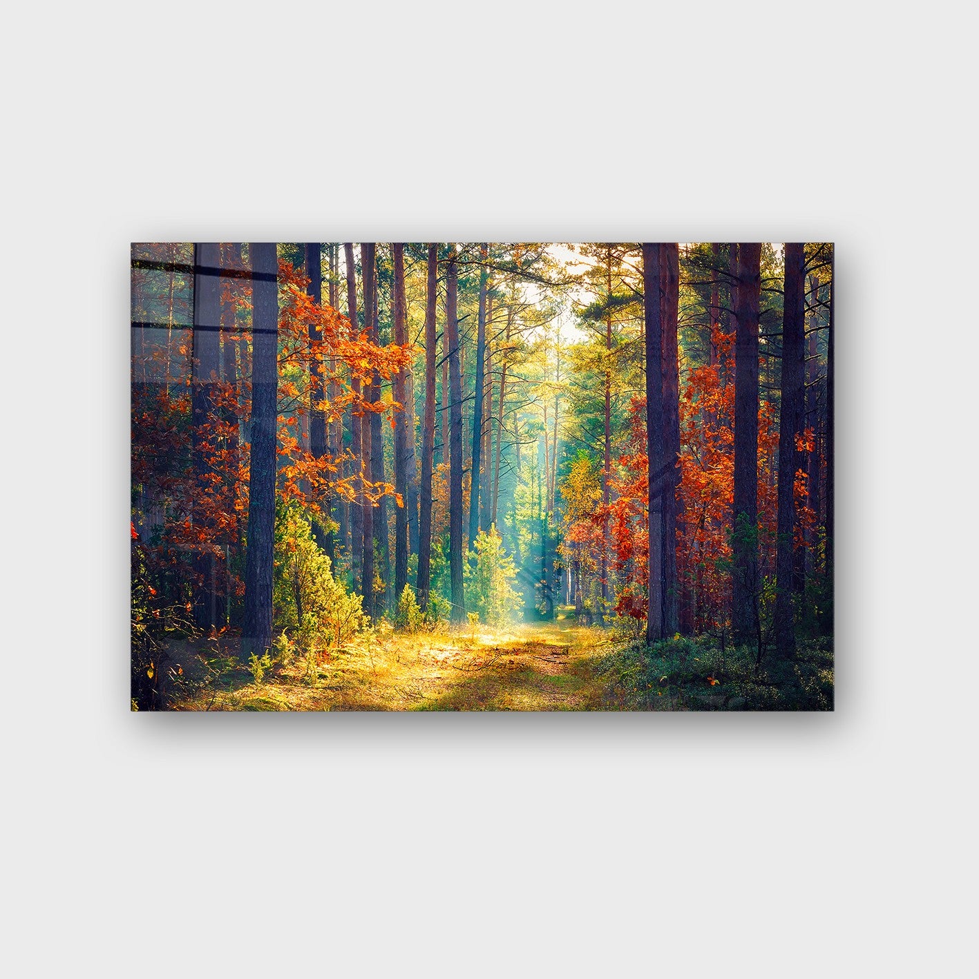 Quadro Decorativo em Vidro Temperado Multicolor 50x70cm - Arte Moderna para Parede