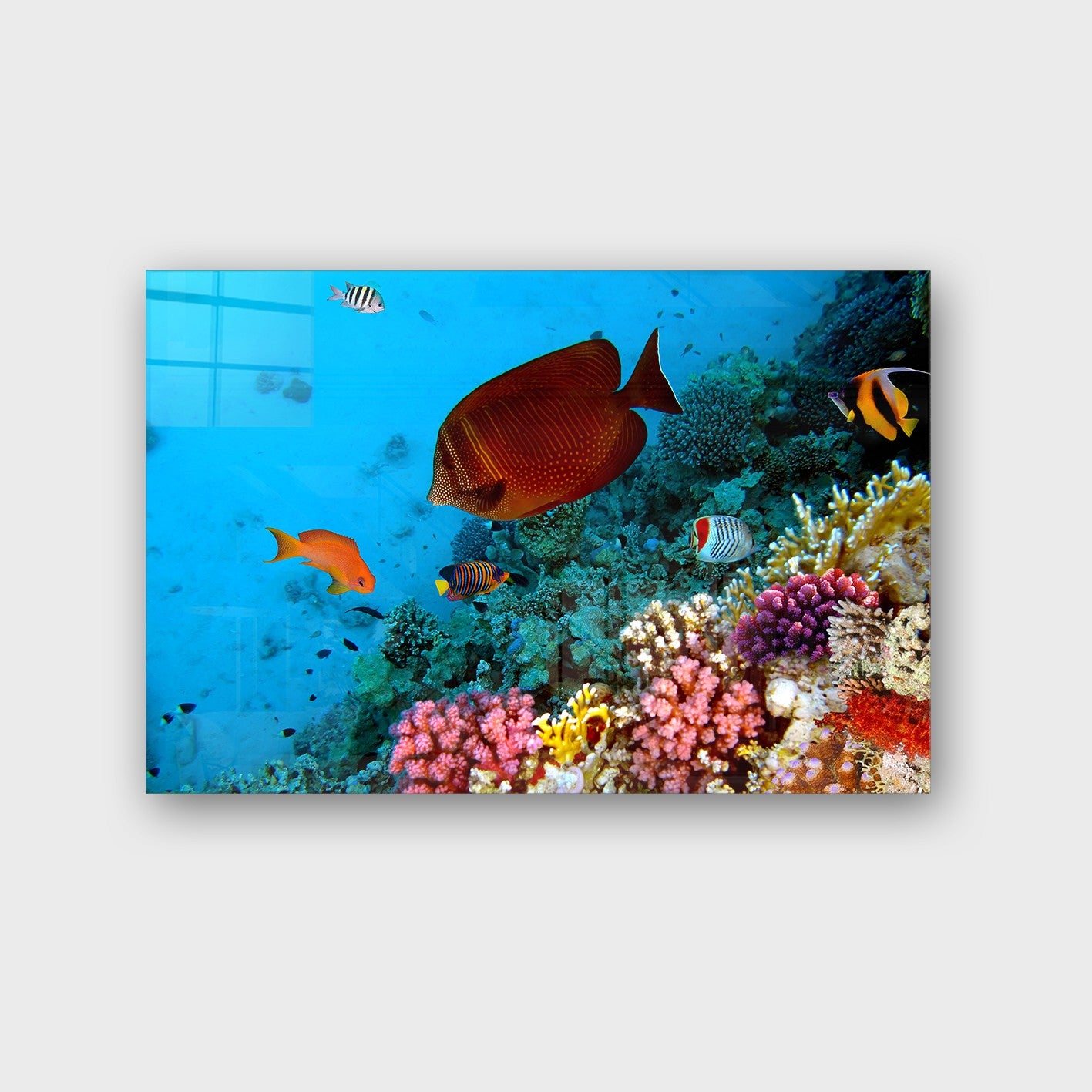 Quadro Decorativo em Vidro Temperado Multicolor 50x70cm - Arte Moderna para Parede