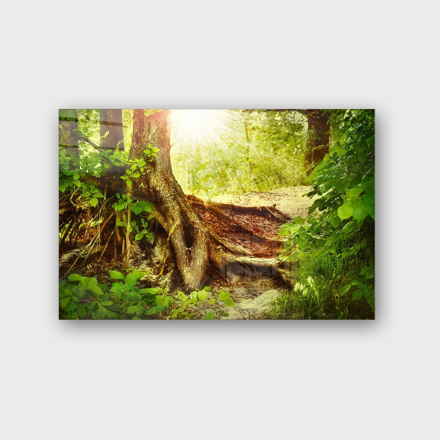 Quadro Decorativo em Vidro Temperado Multicolor 70x100cm - Arte Moderna para Parede