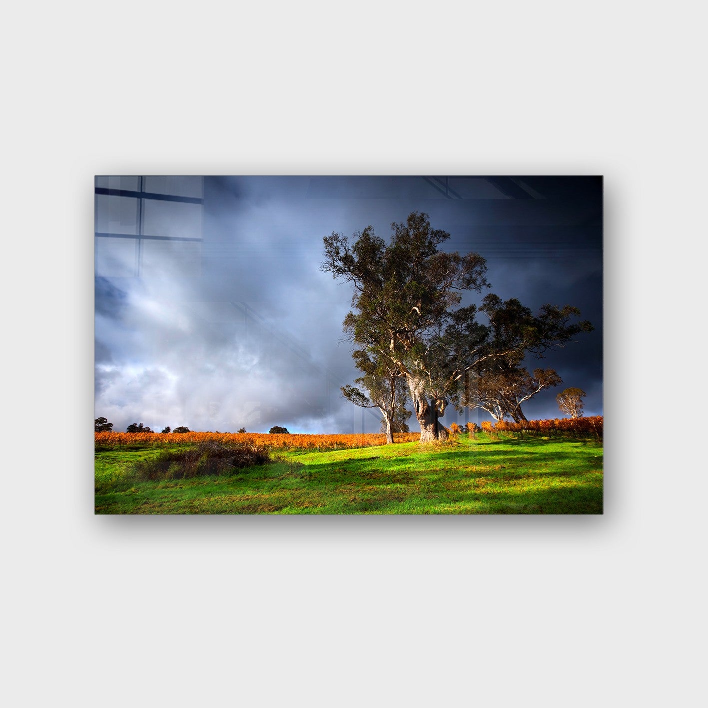 Quadro Decorativo em Vidro Temperado Multicolor 40x60cm - Arte Moderna para Parede