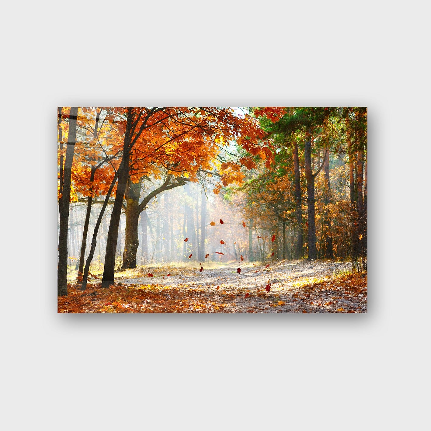 Quadro Decorativo em Vidro Temperado Multicolor 40x60cm - Arte Moderna para Parede