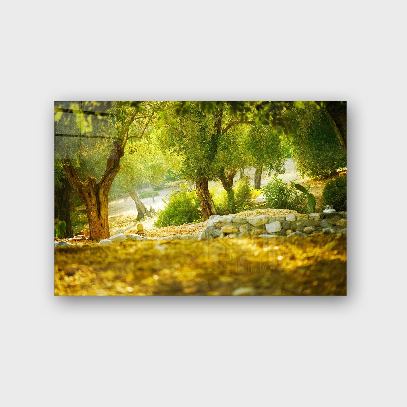 Quadro Decorativo em Vidro Temperado Multicolor 70x100cm - Arte Moderna para Parede