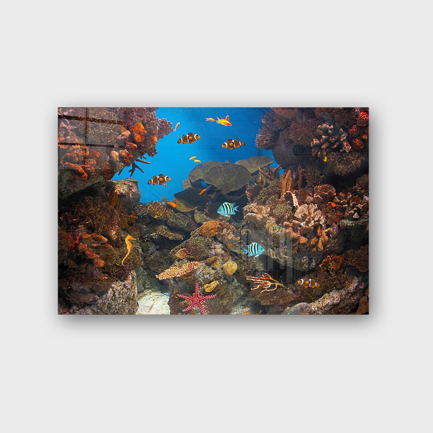 Quadro Decorativo em Vidro Temperado Multicolor 40x60cm - Arte Moderna para Parede