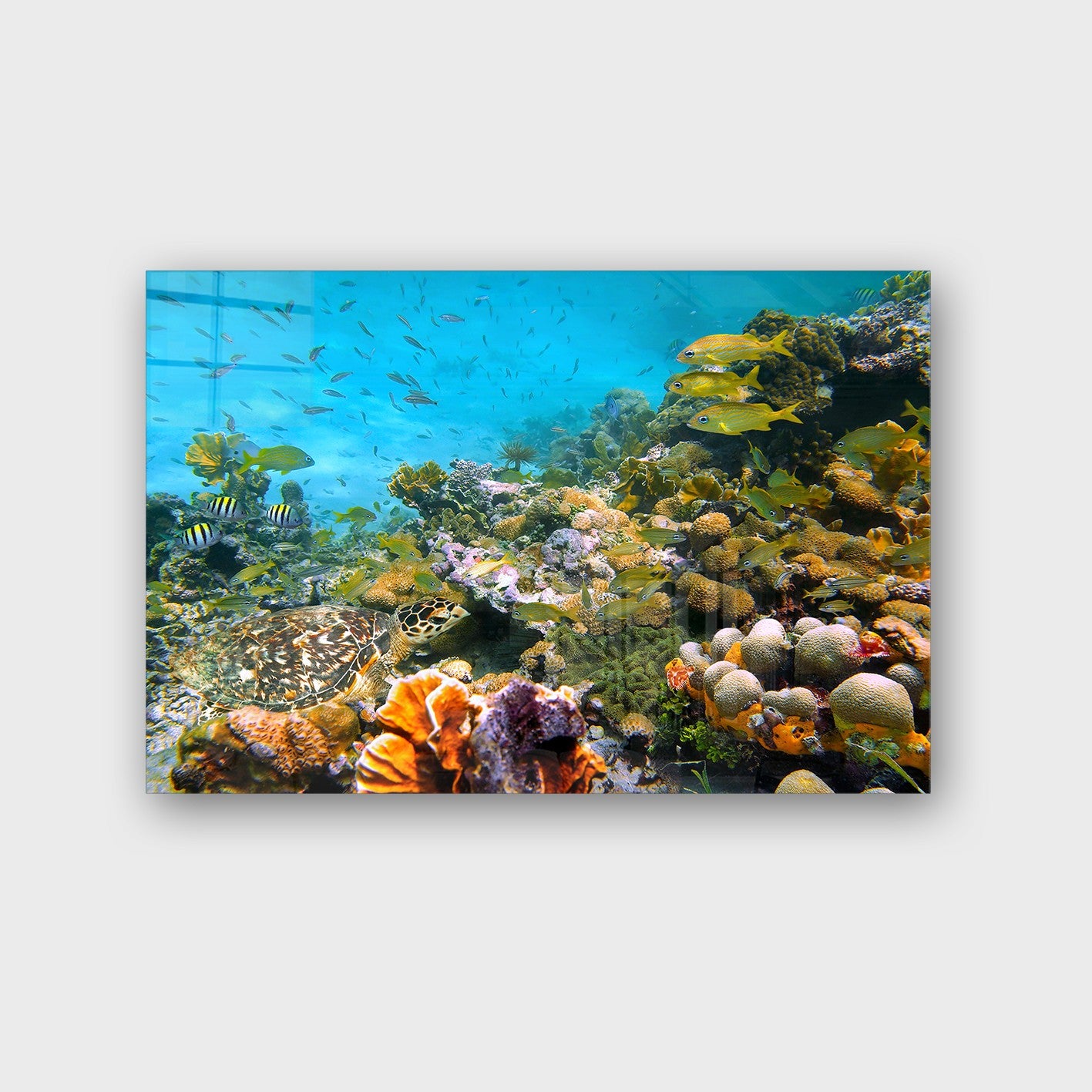 Quadro Decorativo em Vidro Temperado Multicolor 40x60cm - Arte Moderna para Parede