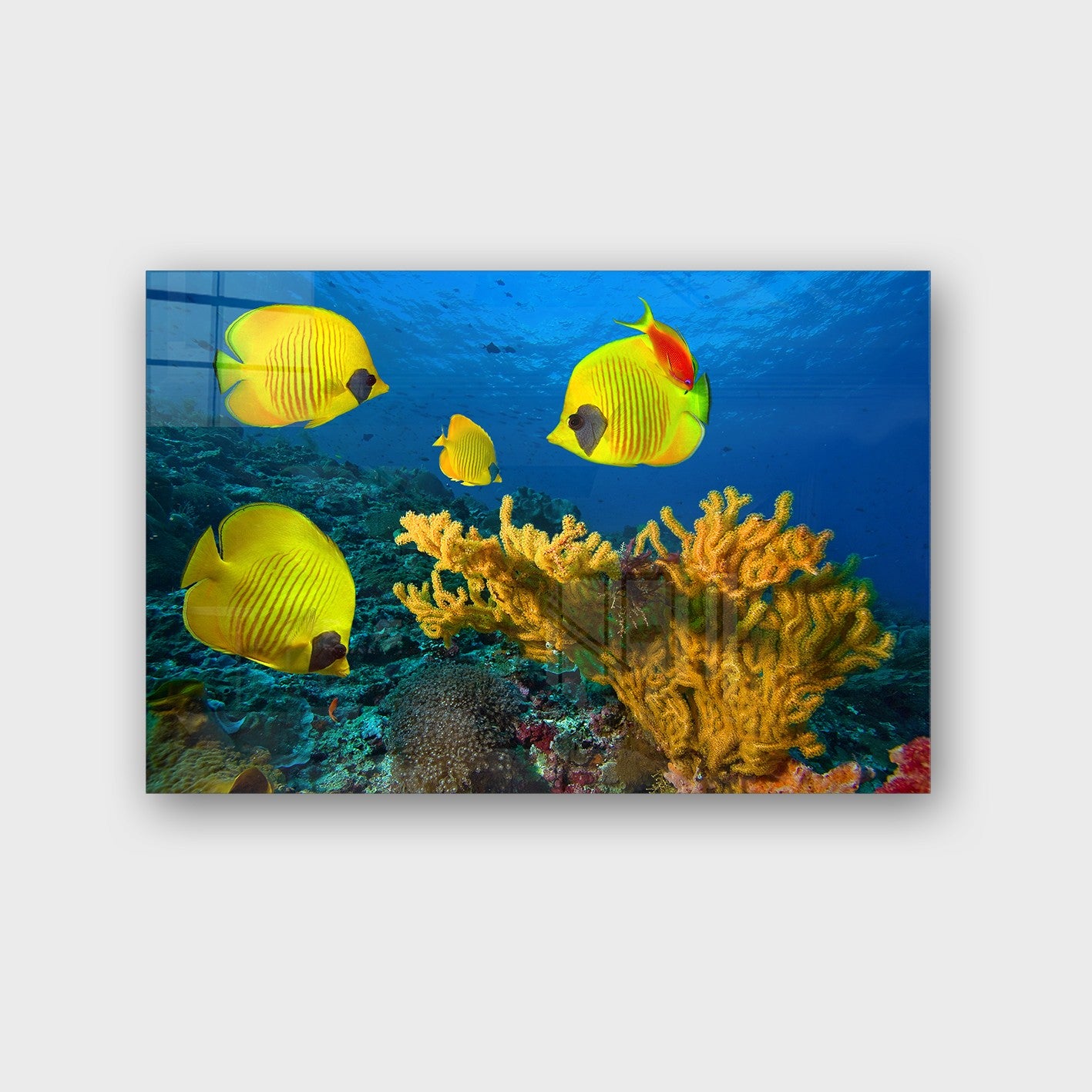 Quadro Decorativo em Vidro Temperado Multicolor 40x60cm - Arte Moderna para Parede