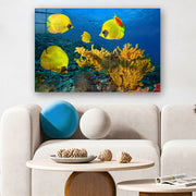 Quadro Decorativo em Vidro Temperado Multicolor 50x70cm - Arte Moderna para Parede