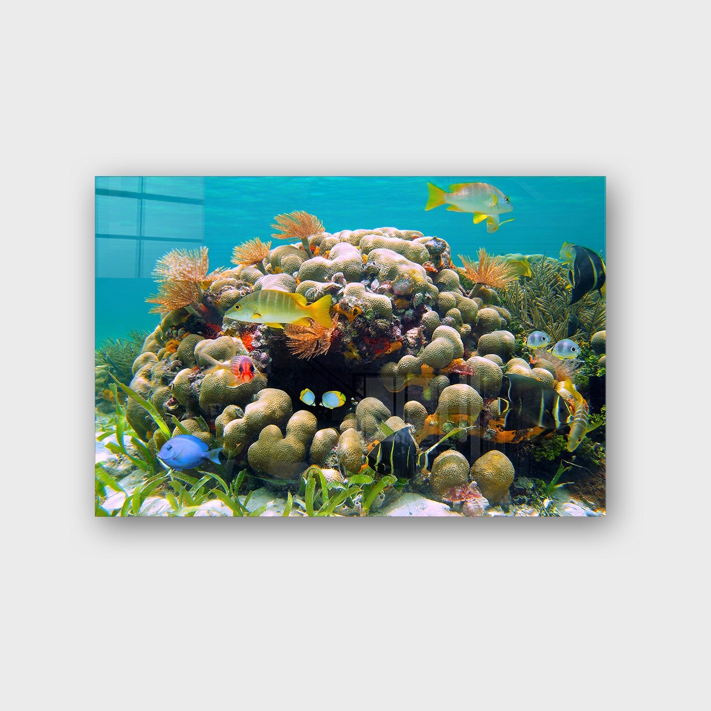 Quadro Decorativo em Vidro Temperado Multicolor 50x70cm - Arte Moderna para Parede