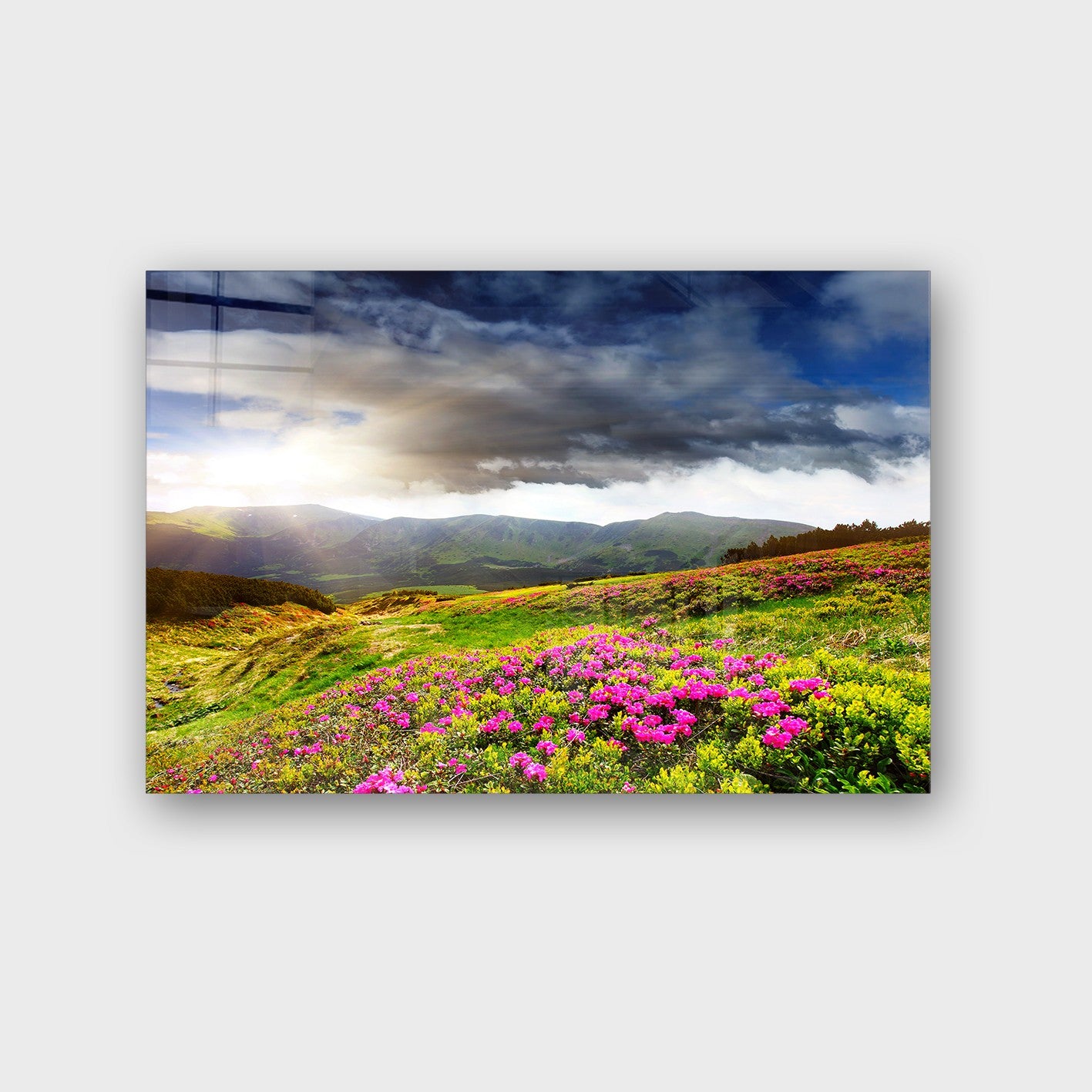 Quadro Decorativo em Vidro Temperado Multicolor 70x100cm - Arte Moderna para Parede