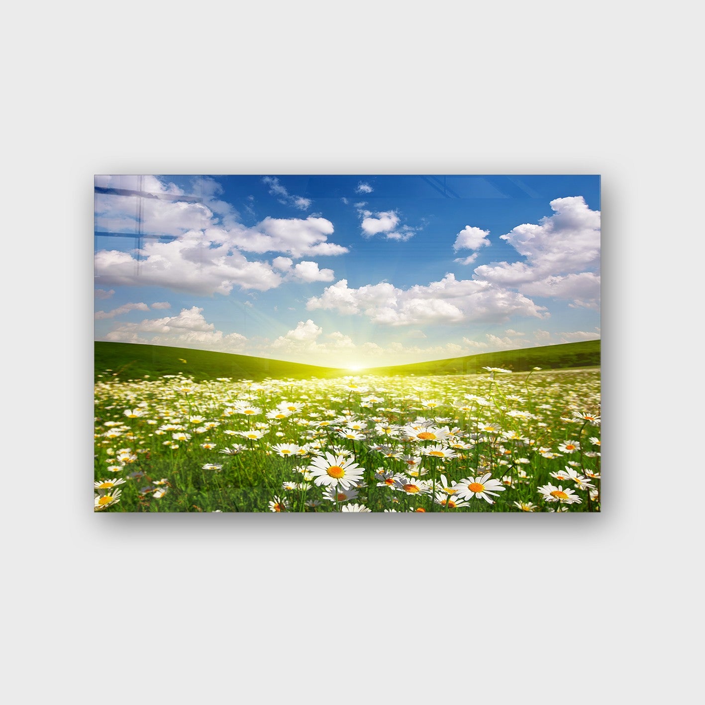 Quadro Decorativo em Vidro Temperado Multicolor 40x60cm - Arte Moderna para Parede