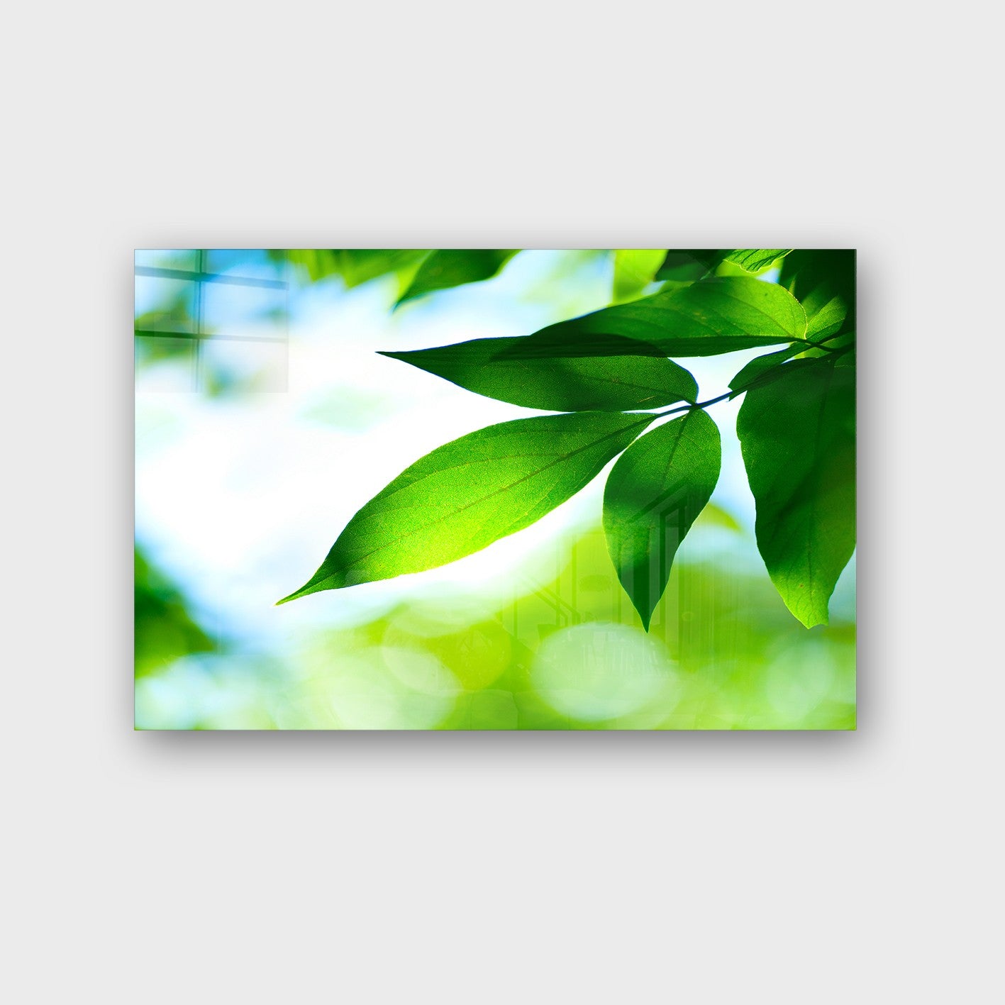 Quadro Decorativo em Vidro Temperado Multicolor 50x70cm - Arte Moderna para Parede