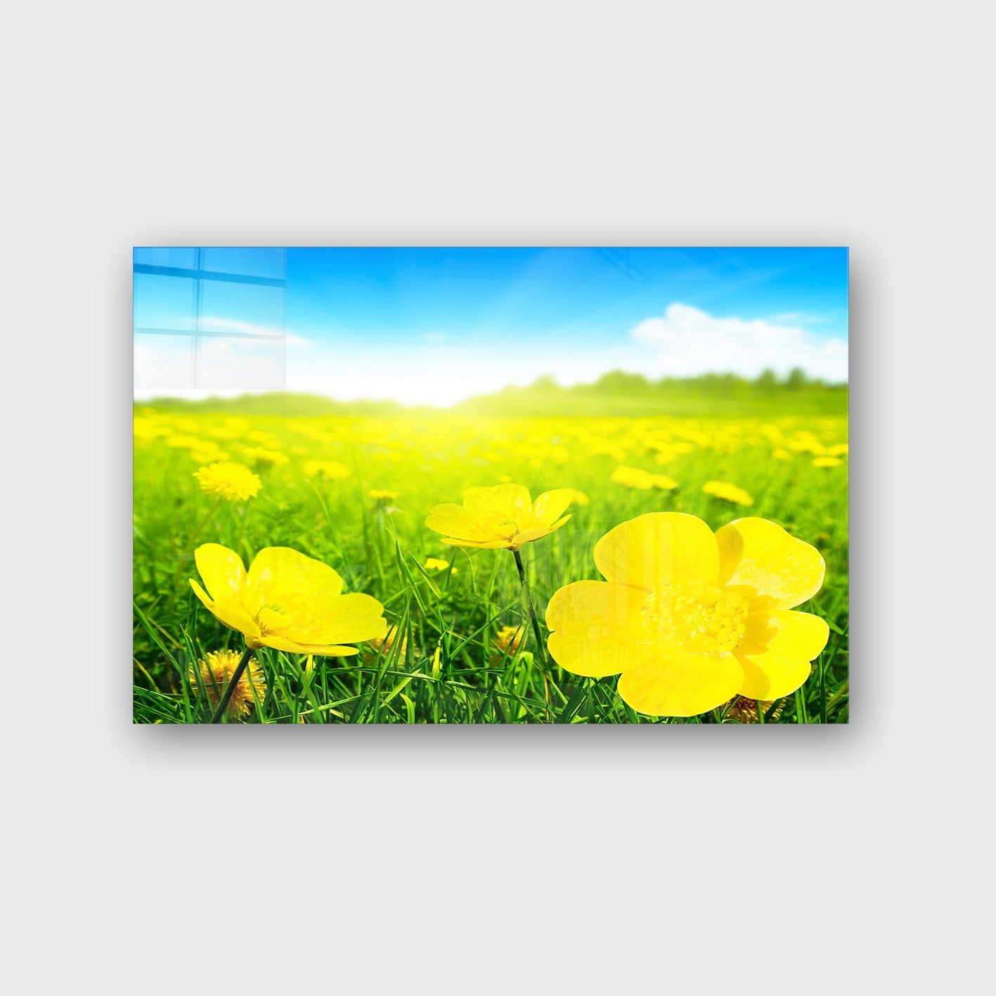 Quadro Decorativo em Vidro Temperado Multicolor 70x100cm - Arte Moderna para Parede