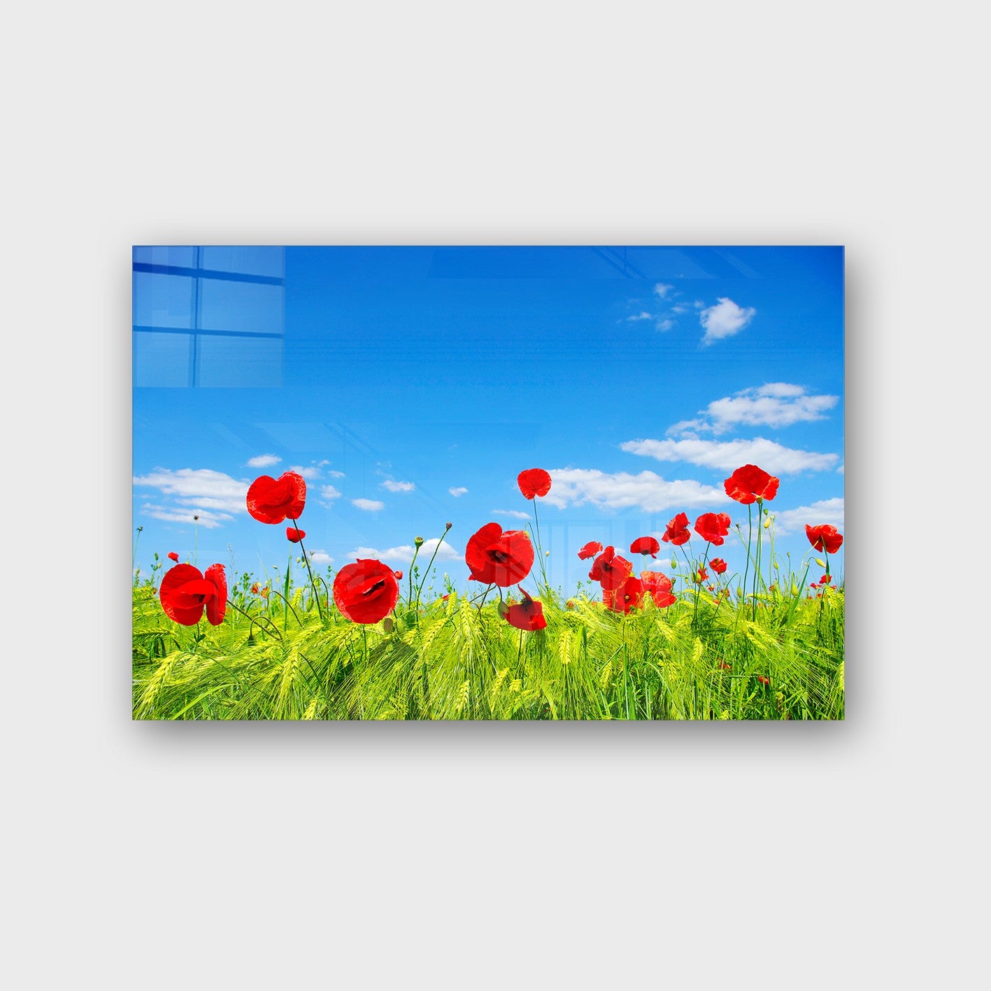 Quadro Decorativo em Vidro Temperado Multicolor 40x60cm - Arte Moderna para Parede