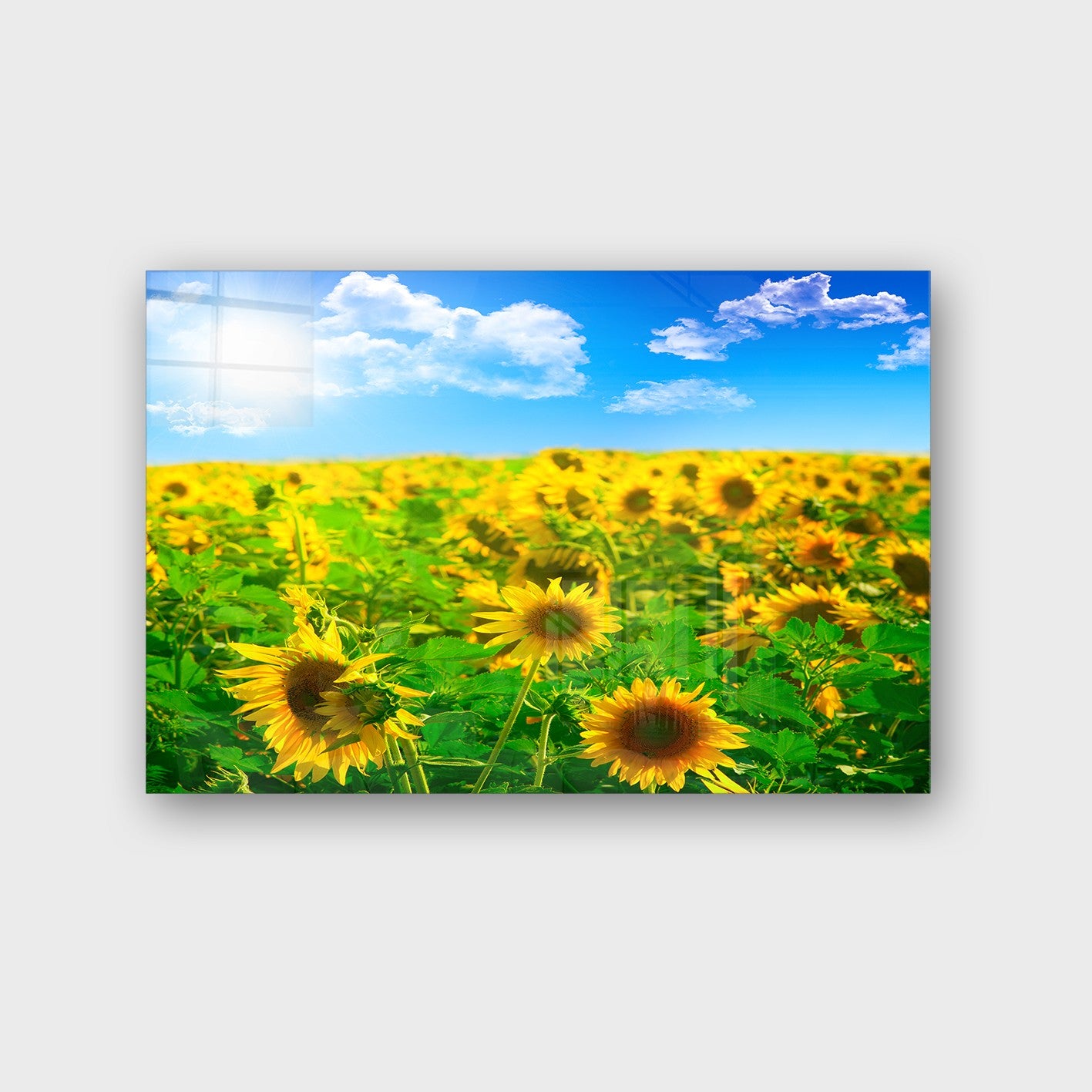 Quadro Decorativo em Vidro Temperado Multicolor 50x70cm - Arte Moderna para Parede