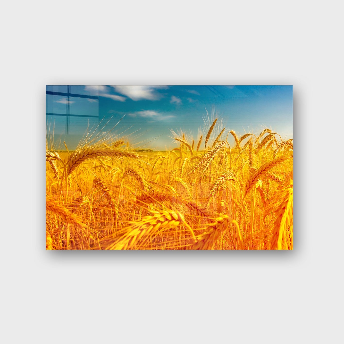 Quadro Decorativo em Vidro Temperado Multicolor 70x100cm - Arte Moderna para Parede