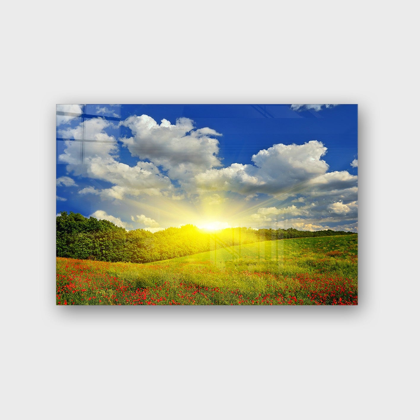 Quadro Decorativo em Vidro Temperado Multicolor 50x70cm - Arte Moderna para Parede