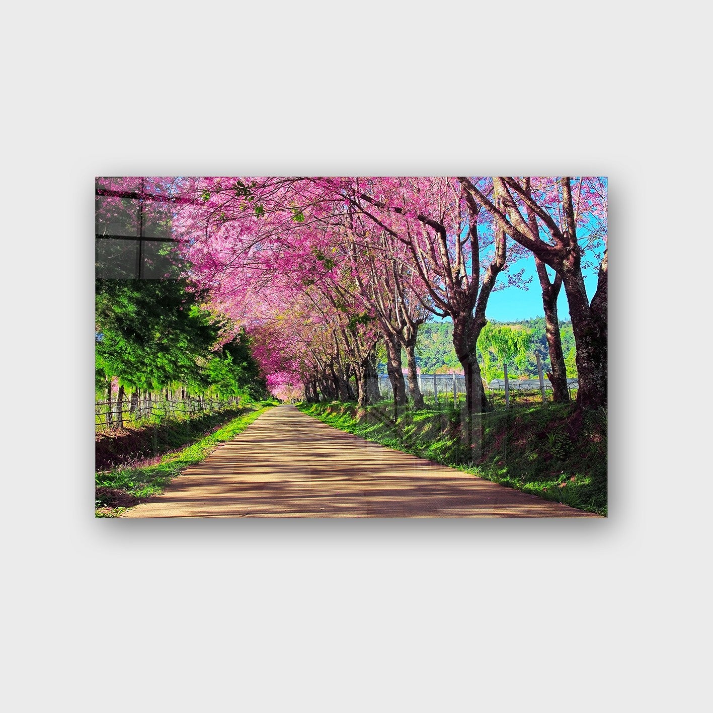 Quadro Decorativo em Vidro Temperado Multicolor 50x70cm - Arte Moderna para Parede