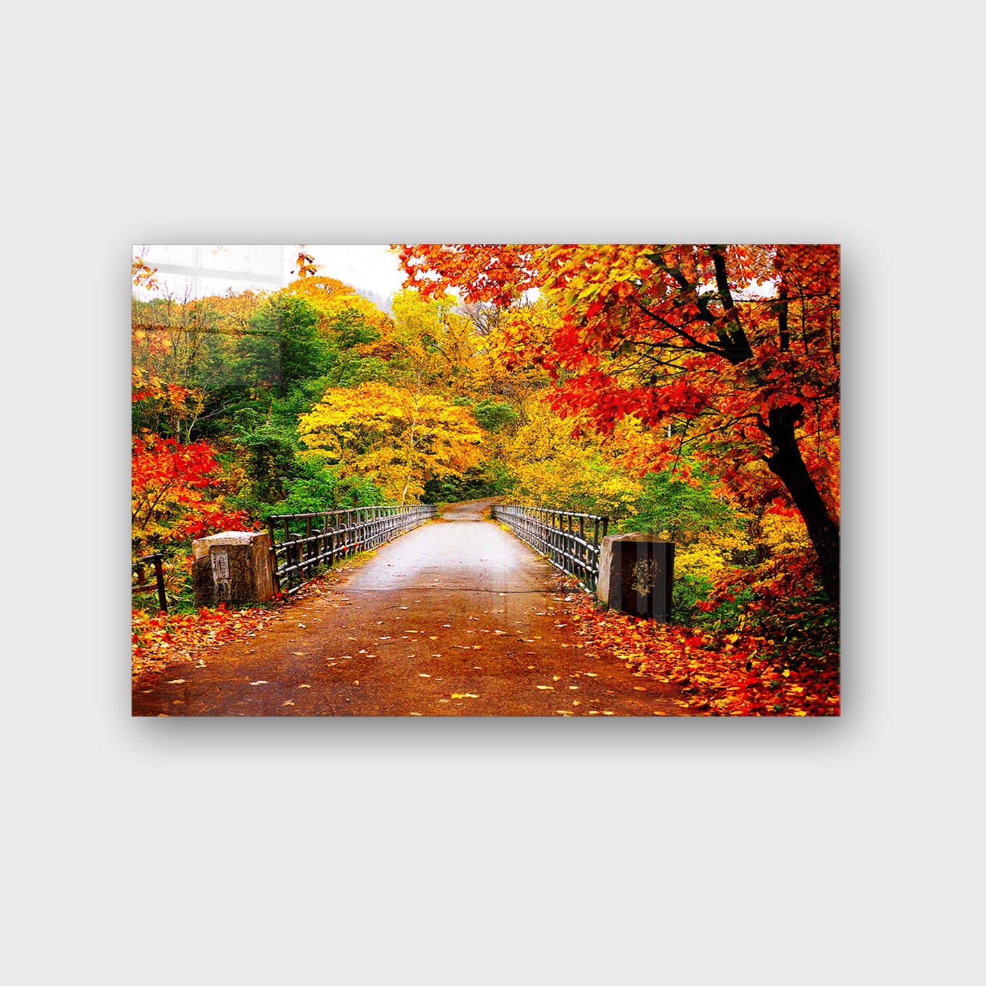 Quadro Decorativo em Vidro Temperado Multicolor 50x70cm - Arte Moderna para Decoração de Interiores