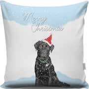 Almofada – 43 x 43 cm – Multicolorido – 50% Algodão / 50% Poliéster