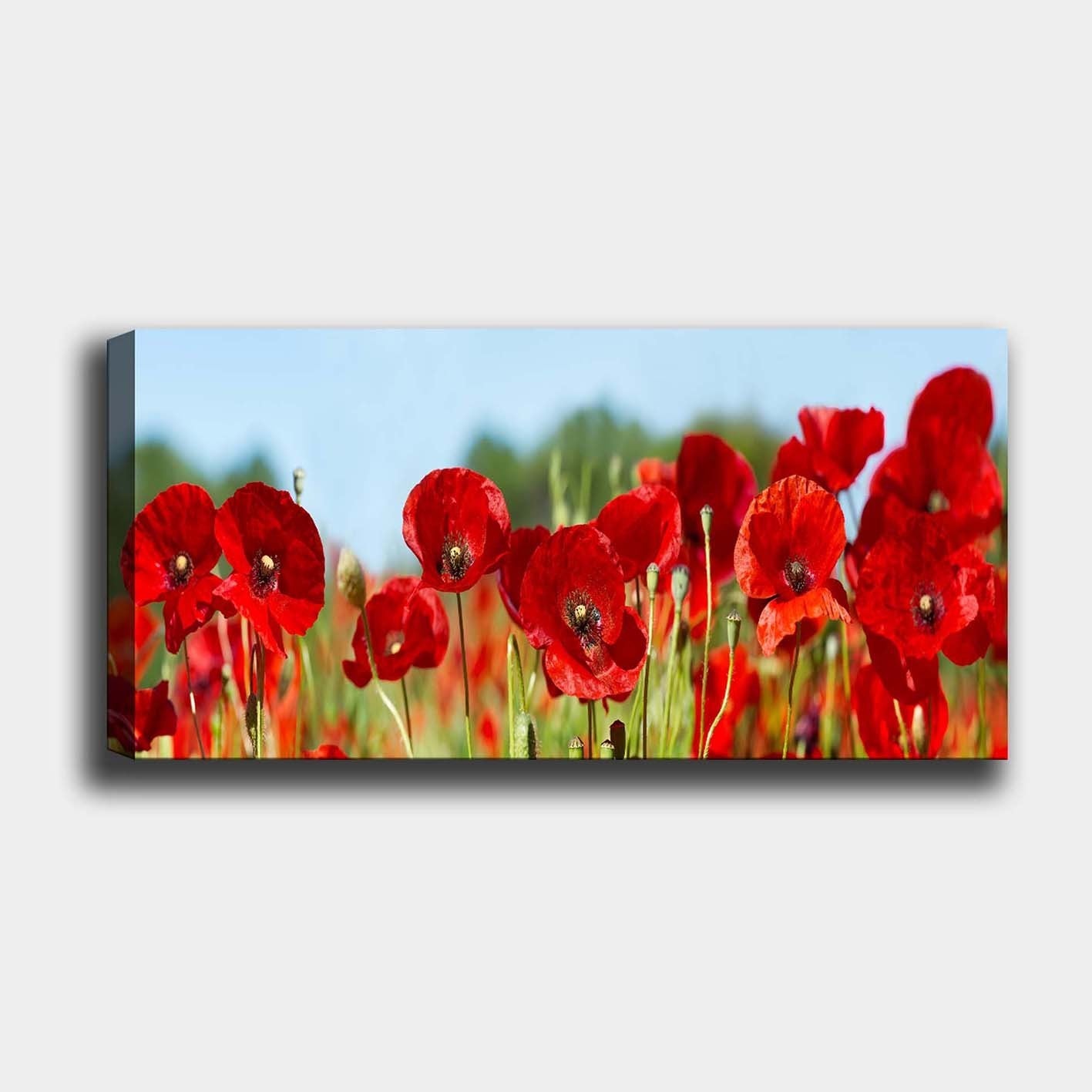 Tela Decorativa em Canvas Multicolor 50x120 cm com Moldura de Madeira (3 cm)