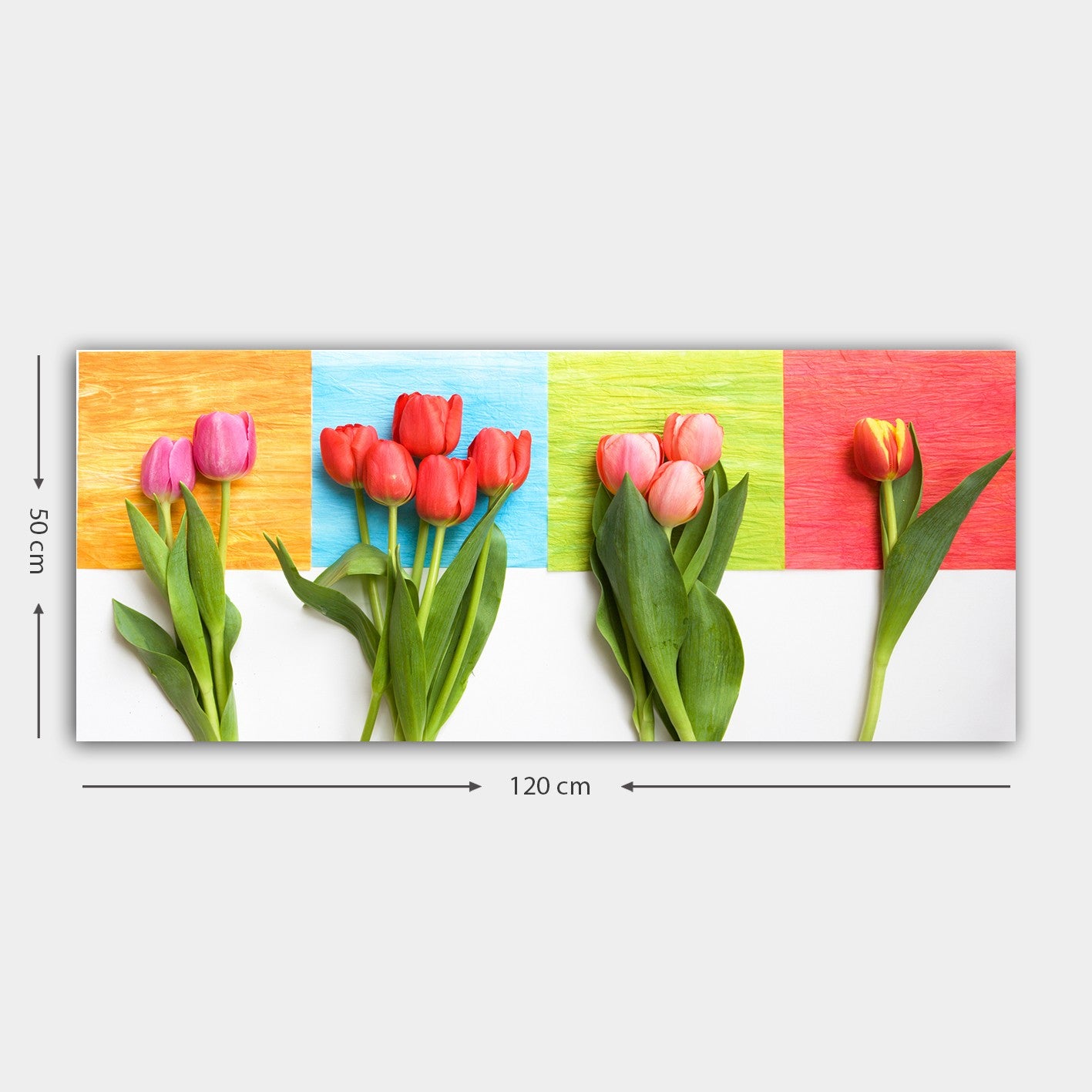 Quadro em Tela Decorativa Multicolor 50 x 120 cm – 100% Canvas com Moldura de Madeira 3 cm