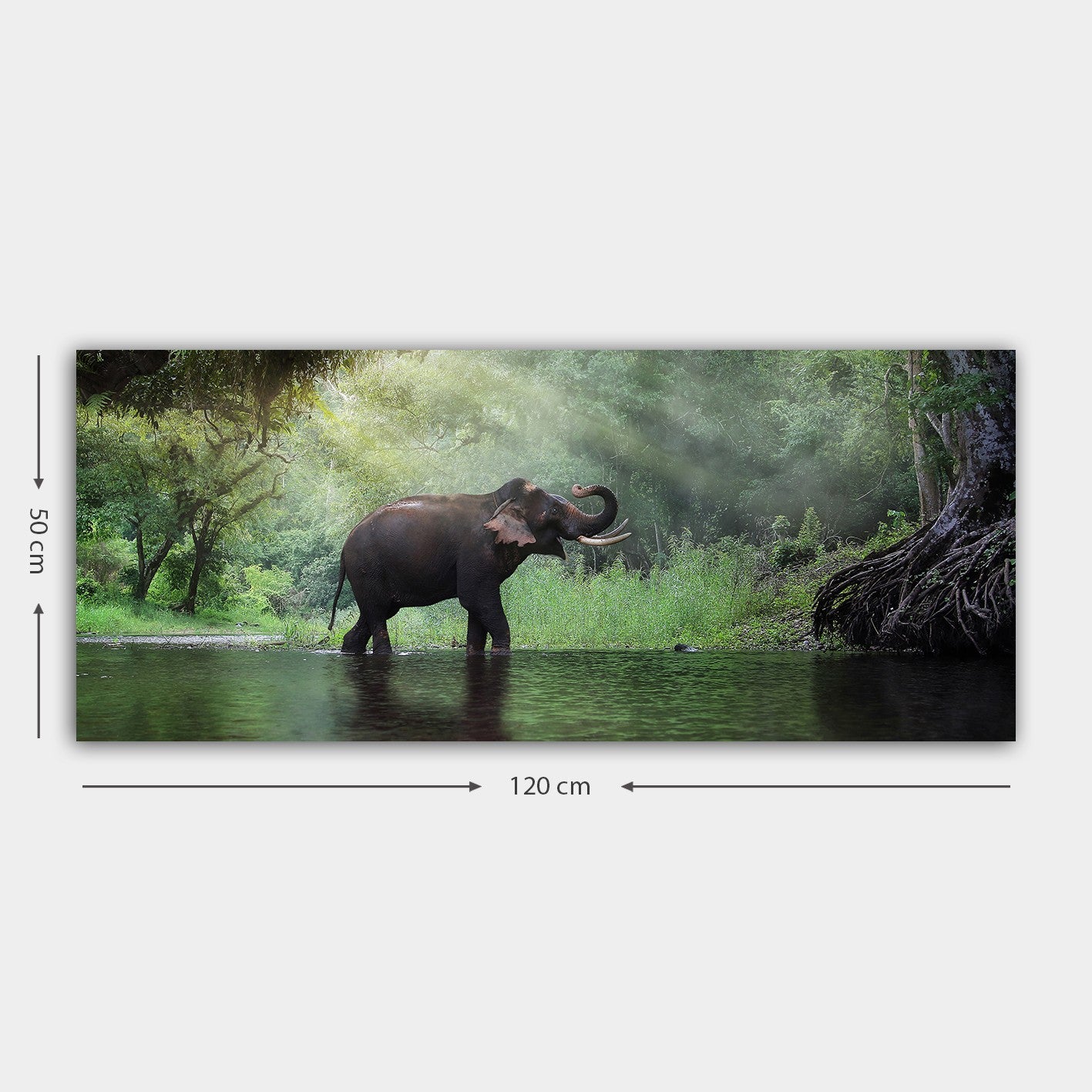 Quadro em Tela Multicolor 50x120 cm com Moldura de Madeira 3 cm