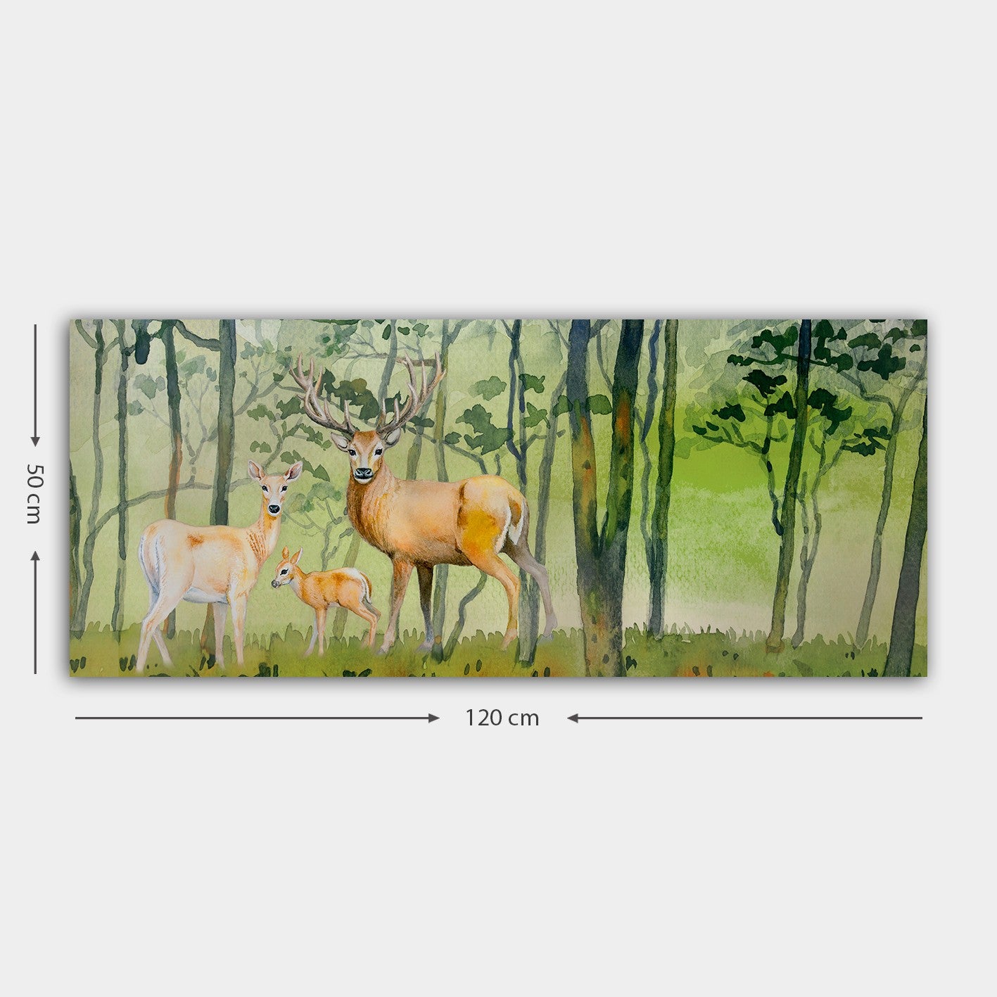 Tela Decorativa Multicolor 50x120 cm com Moldura em Madeira (3 cm) – 100% Canvas