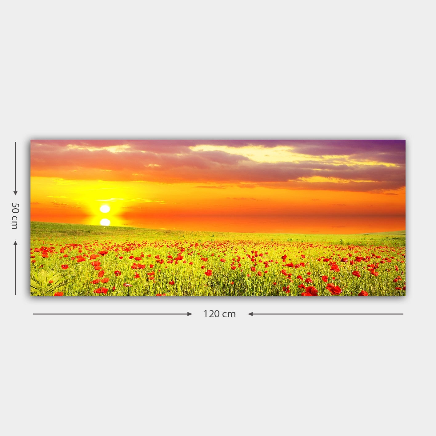 Quadro Decorativo em Tela Multicolor 50x120 cm com Moldura de Madeira (3 cm)