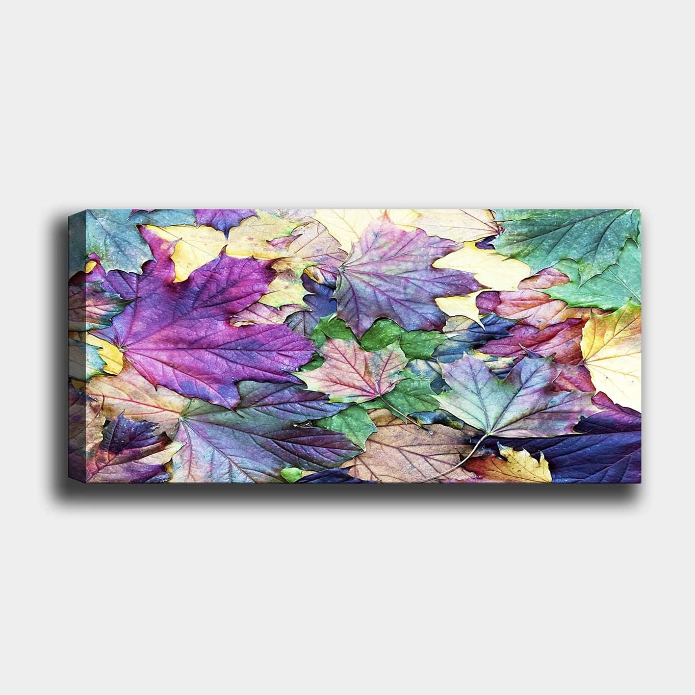 Pintura em Tela Decorativa Multicolor com Moldura de Madeira (3 cm) – 50 x 120 cm