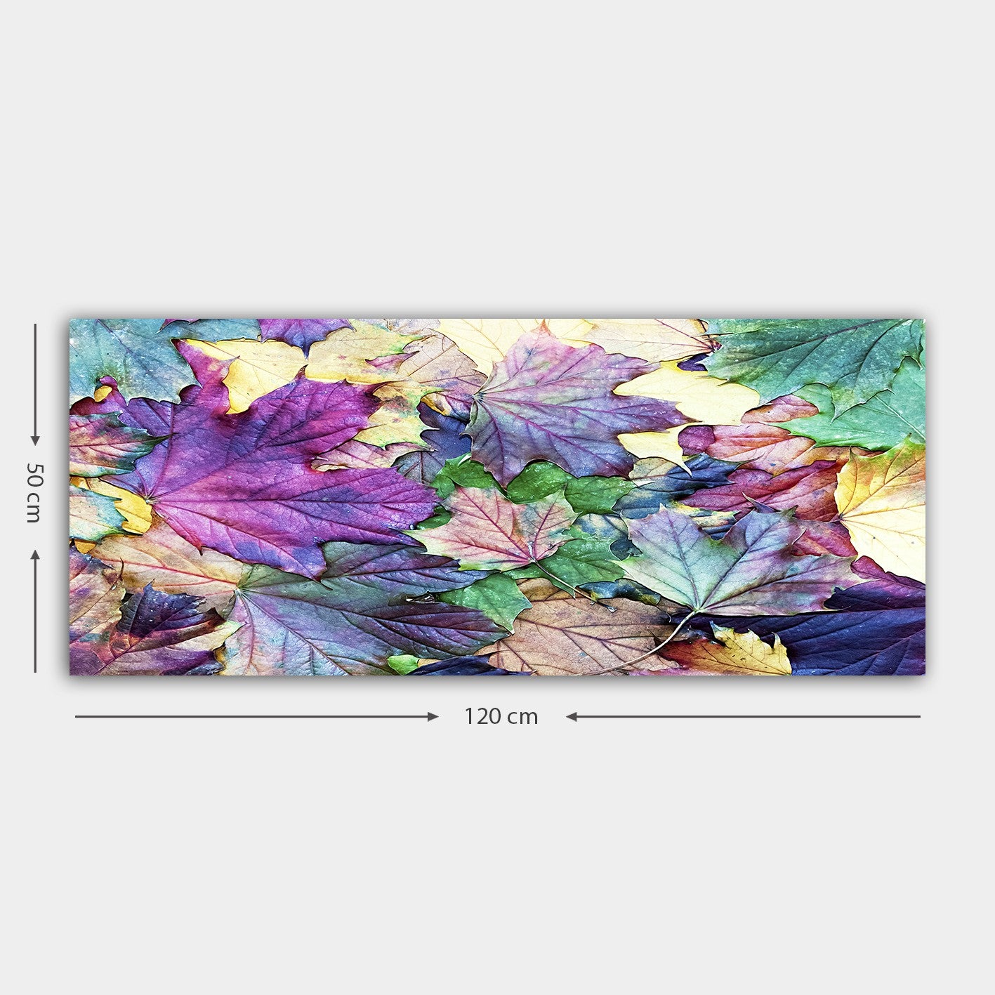 Pintura em Tela Decorativa Multicolor com Moldura de Madeira (3 cm) – 50 x 120 cm