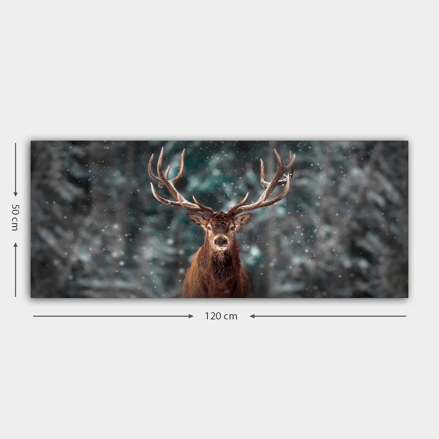 Tela Decorativa em Canvas 50x120 cm com Moldura de Madeira 3 cm – Multicolor (YTY1169367886_50120)