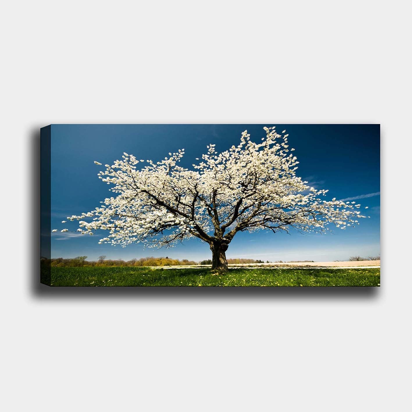 Impressionante pintura decorativa em tela, 50 x 120 cm | 100% tela, 100% moldura de madeira (3 cm de espessura) | Perfeito para amantes de decoração e arte