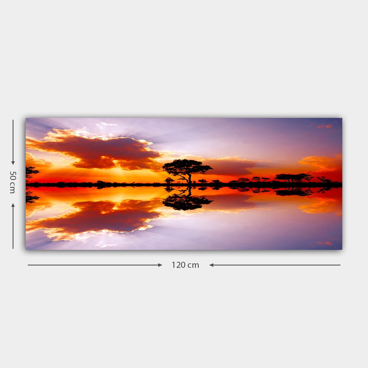 Quadro em Tela Decorativa Multicolor 50 x 120 cm – Canvas 100% com Moldura de Madeira (3 cm)