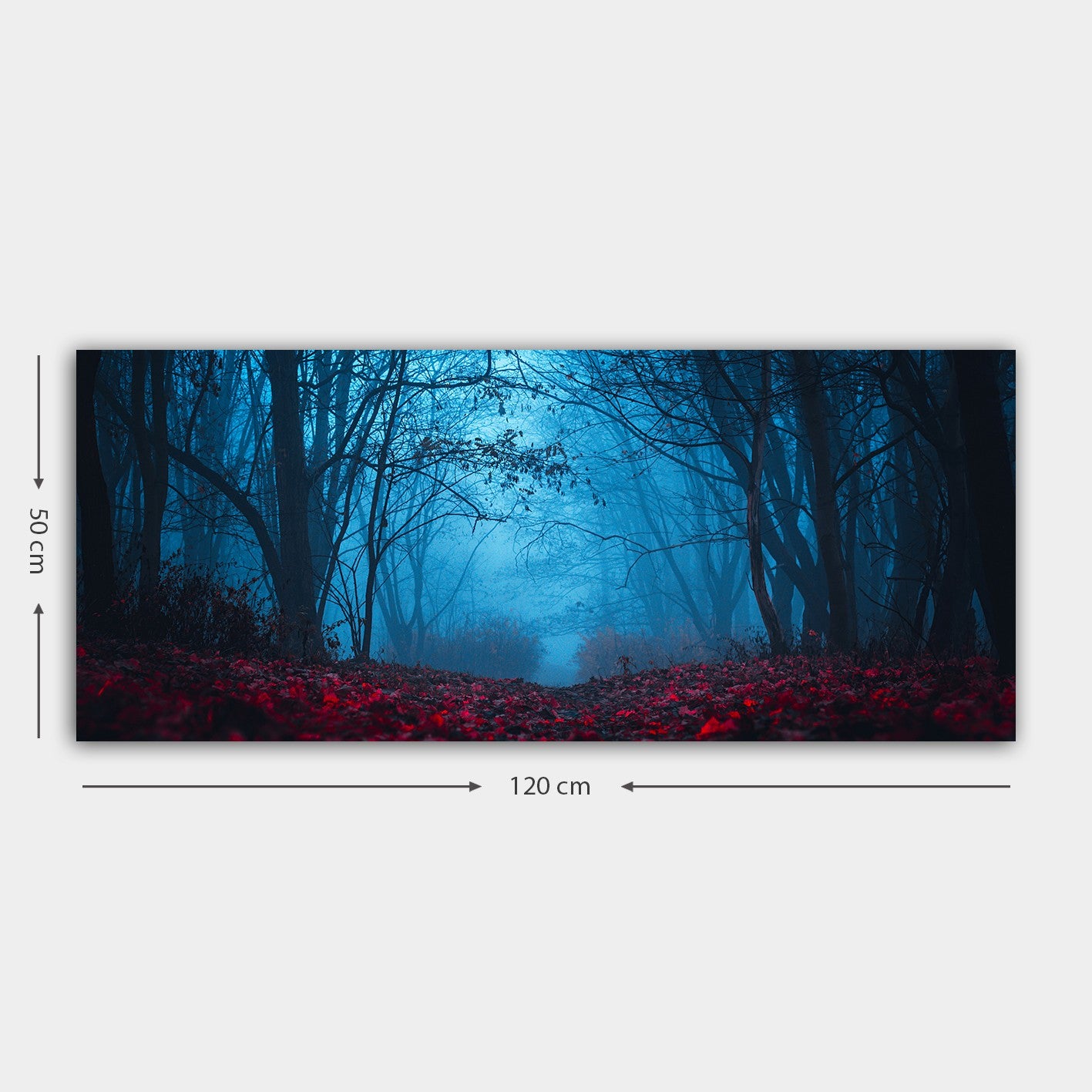 Quadro em Tela Canvas 100% Multicolor com Moldura de Madeira 3 cm – 50x120 cm