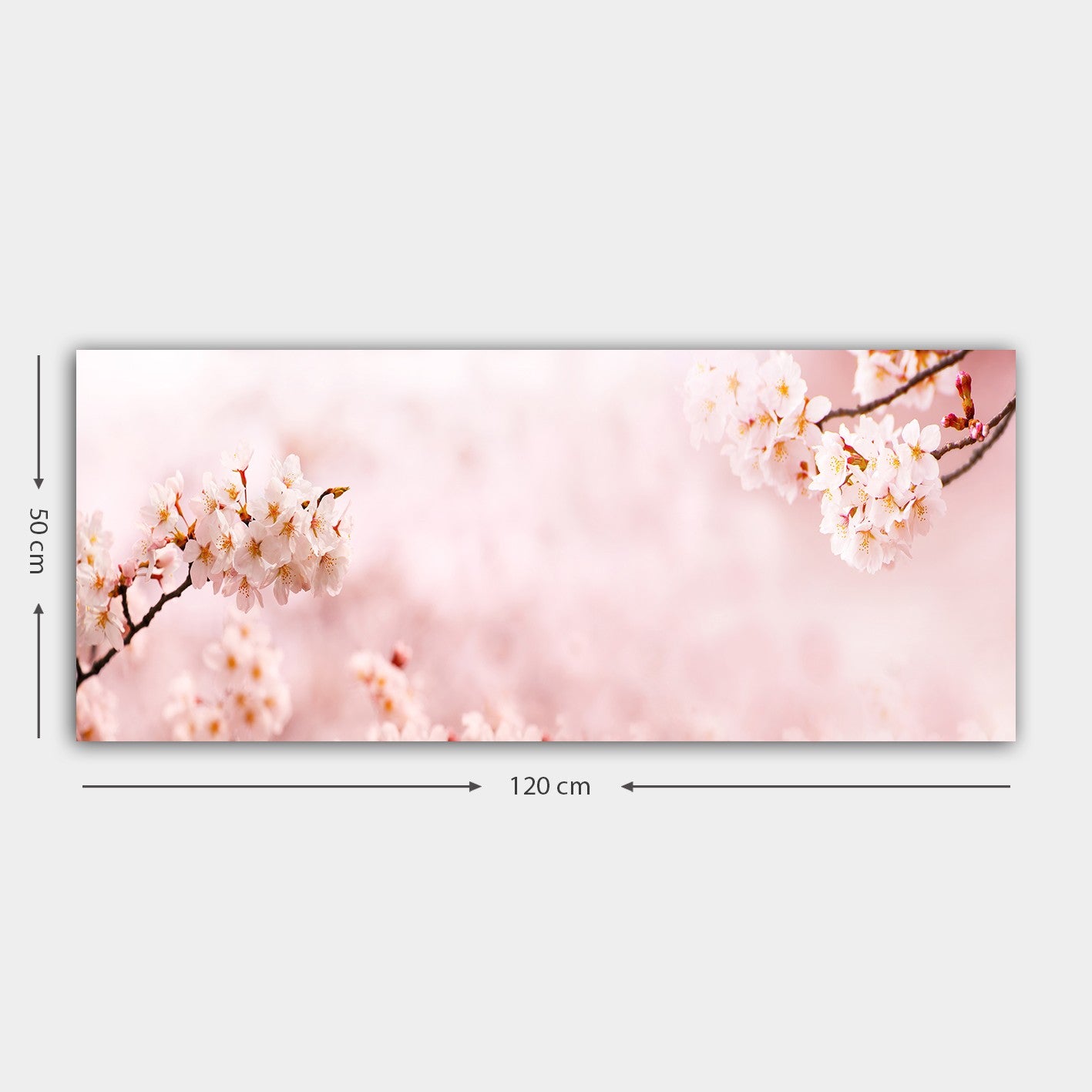 Tela Decorativa Multicolor 50 x 120 cm – Canvas 100% com Moldura de Madeira (3 cm)