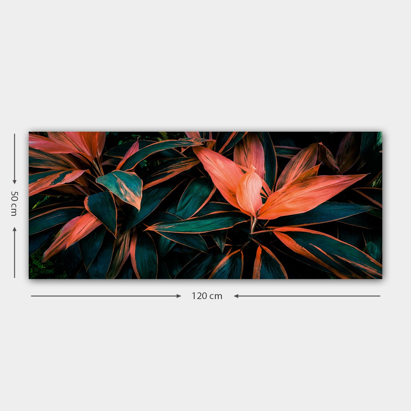 Quadro em Tela Canvas Multicolor 50x120 cm com Moldura de Madeira 3 cm