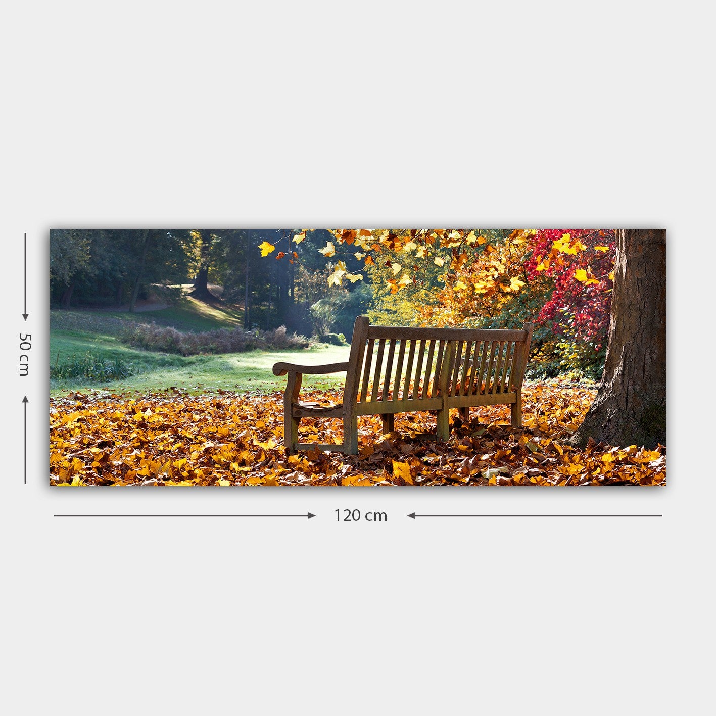 Tela Decorativa em Canvas Multicolor 50 x 120 cm com Moldura de Madeira 3 cm