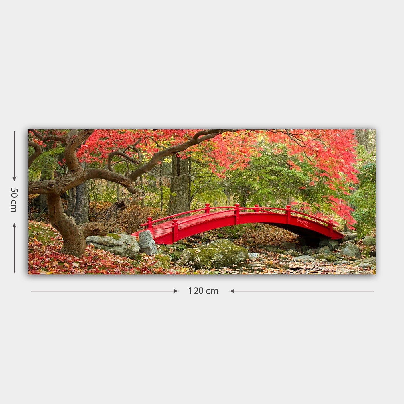 Quadro em Tela Decorativo Multicolor 50x120 cm com Moldura de Madeira (3 cm)