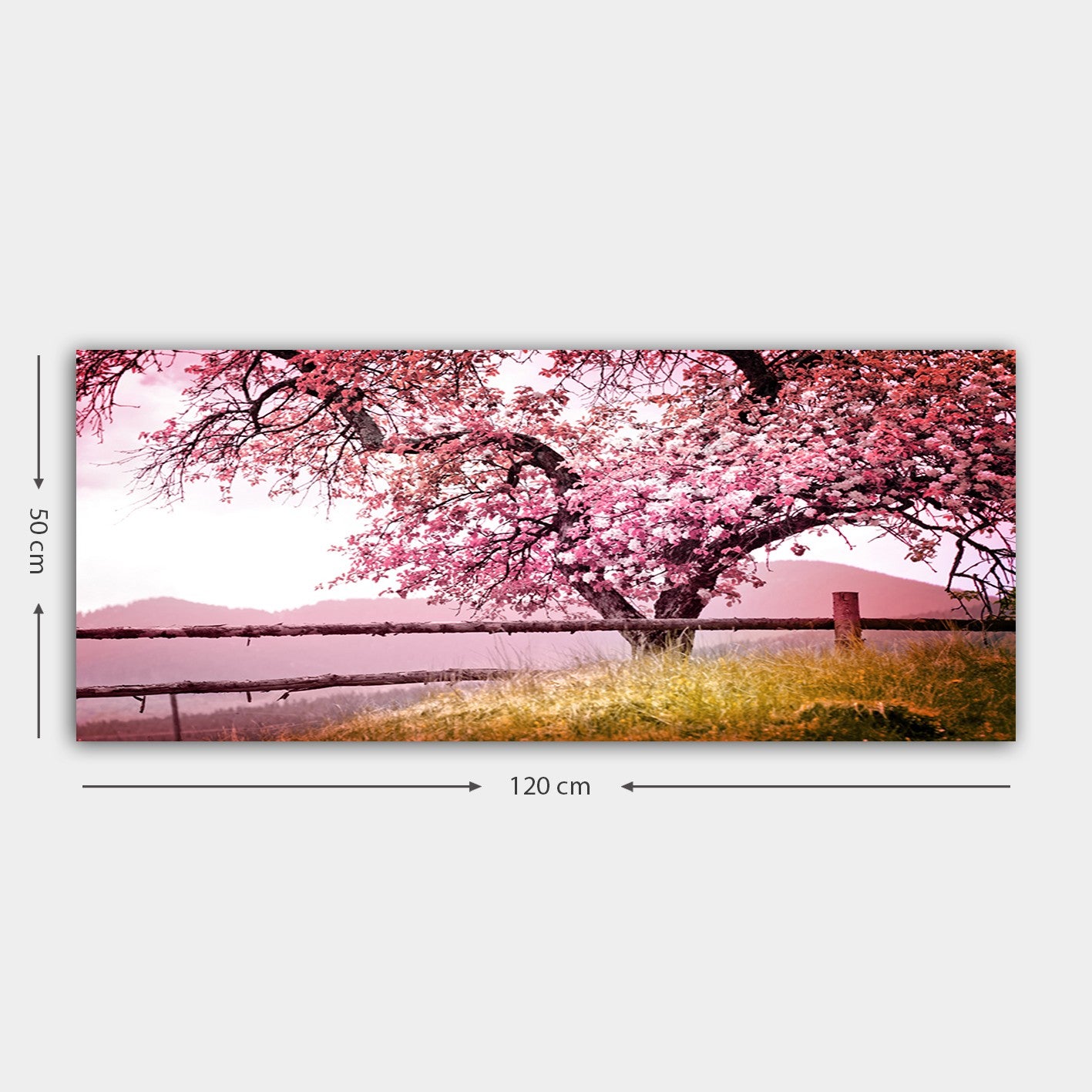 Quadro em Tela Decorativo Multicolor com Moldura de Madeira (3 cm) – 50 x 120 cm