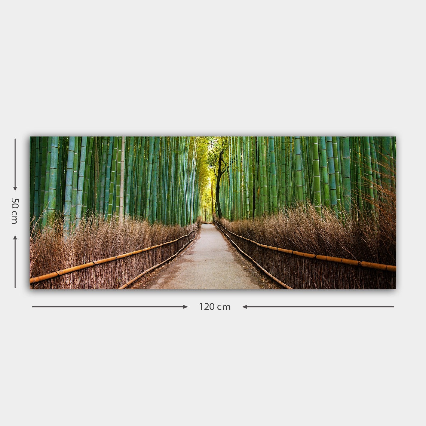 Quadro Decorativo em Tela Canvas 100% Multicolor 50 x 120 cm com Moldura de Madeira 3 cm