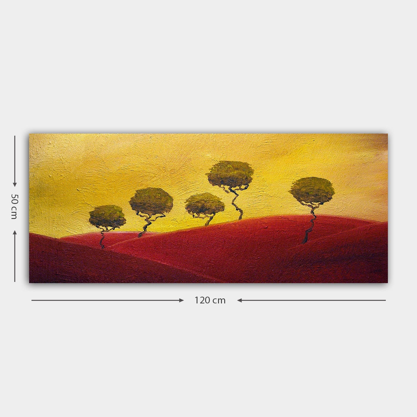 Quadro em Tela Decorativa Multicolorido 50 x 120 cm – Tela 100% e Moldura de Madeira (3 cm)