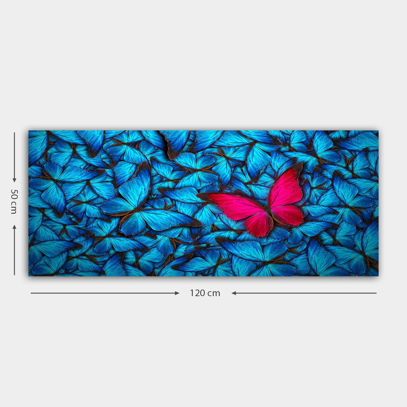 Quadro em Tela Decorativo Multicolor 50x120 cm – Canvas 100% com Moldura de Madeira 3 cm