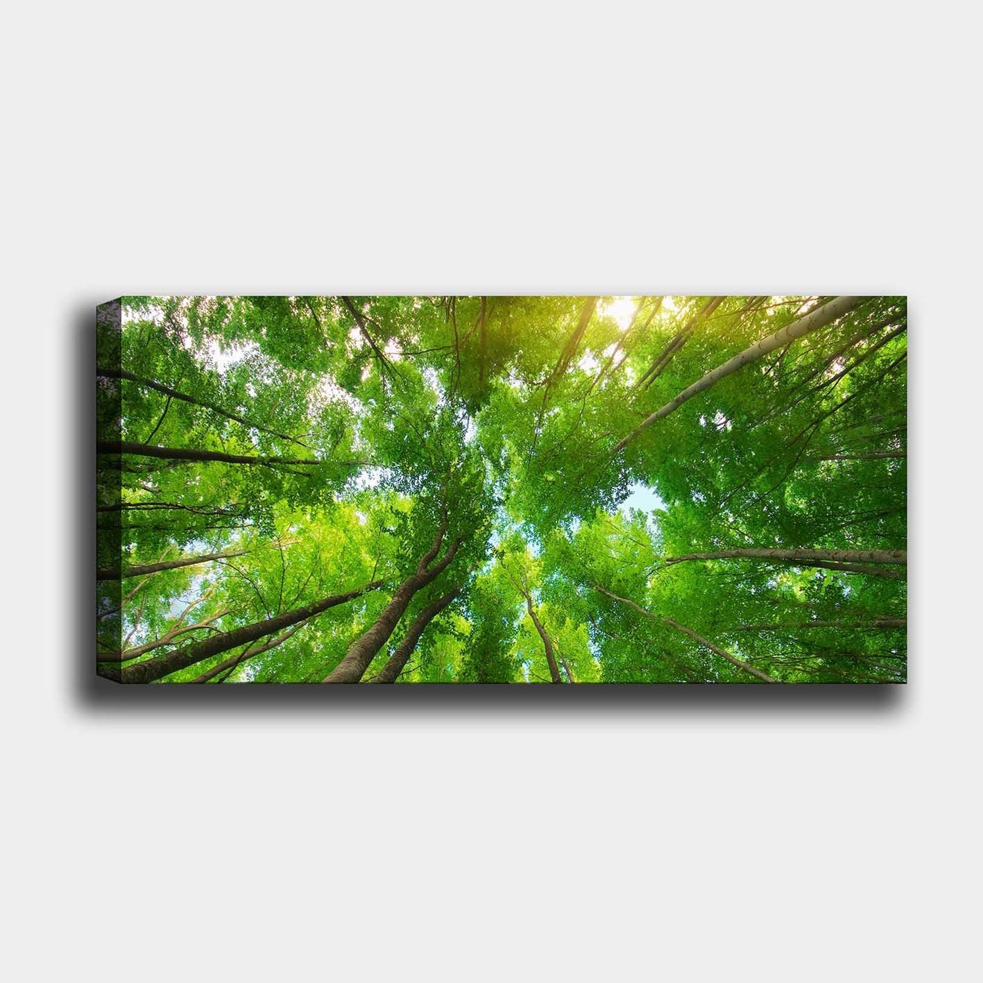 Tela Decorativa Canvas Multicolor 50x120 cm com Moldura de Madeira 3 cm – YTY211999801_50120