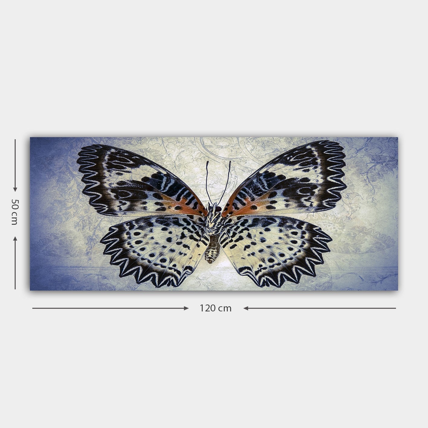 Quadro em Tela Decorativo Multicolor 50x120 cm, 100% Canvas, Moldura de Madeira 3 cm – YTY224339824_50120
