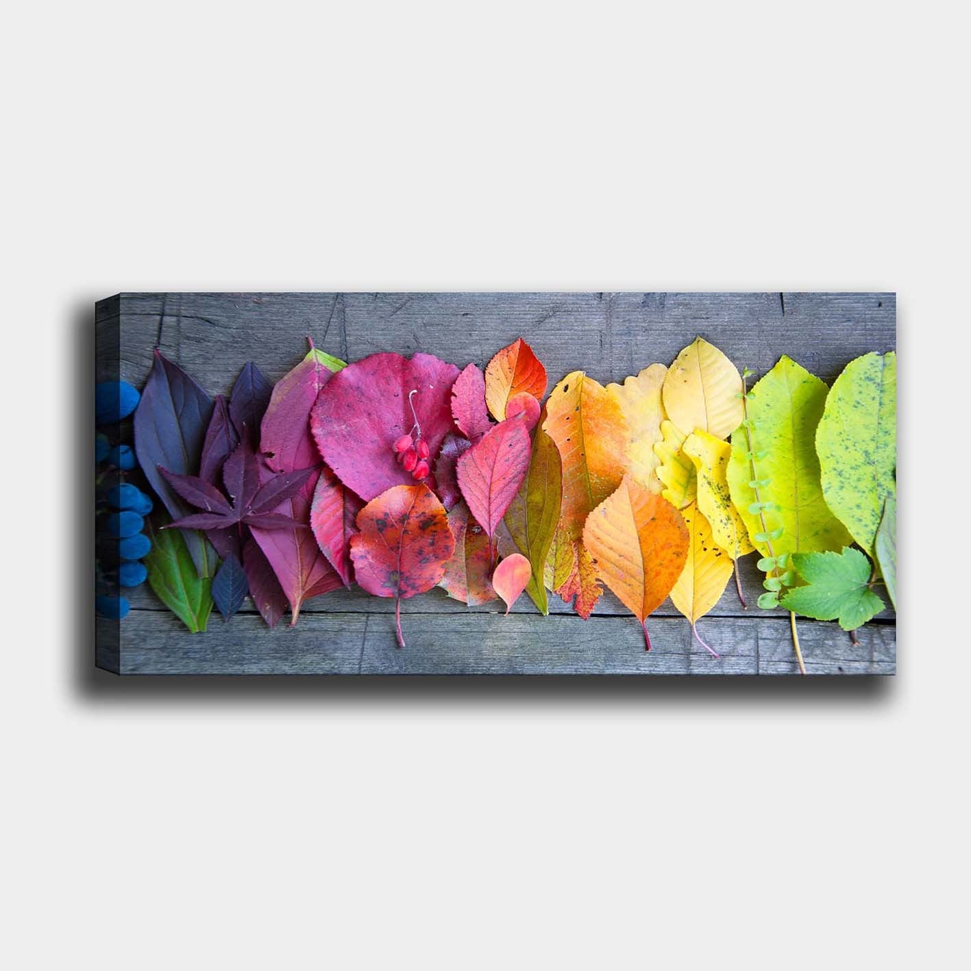 Tela Decorativa em Canvas Multicolor 50 x 120 cm com Moldura de Madeira (3 cm)