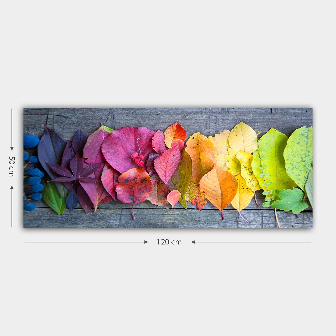 Tela Decorativa em Canvas Multicolor 50 x 120 cm com Moldura de Madeira (3 cm)