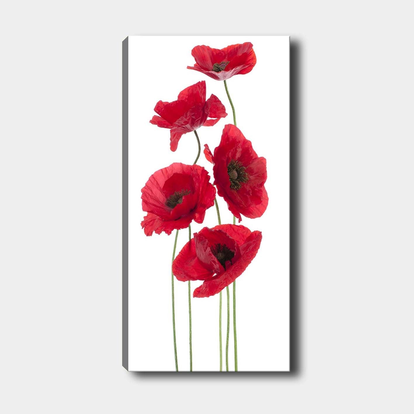 Impressionante pintura decorativa em tela, 50 x 120 cm | 100% tela, 100% moldura de madeira (3 cm de espessura) | Perfeito para amantes de decoração e arte