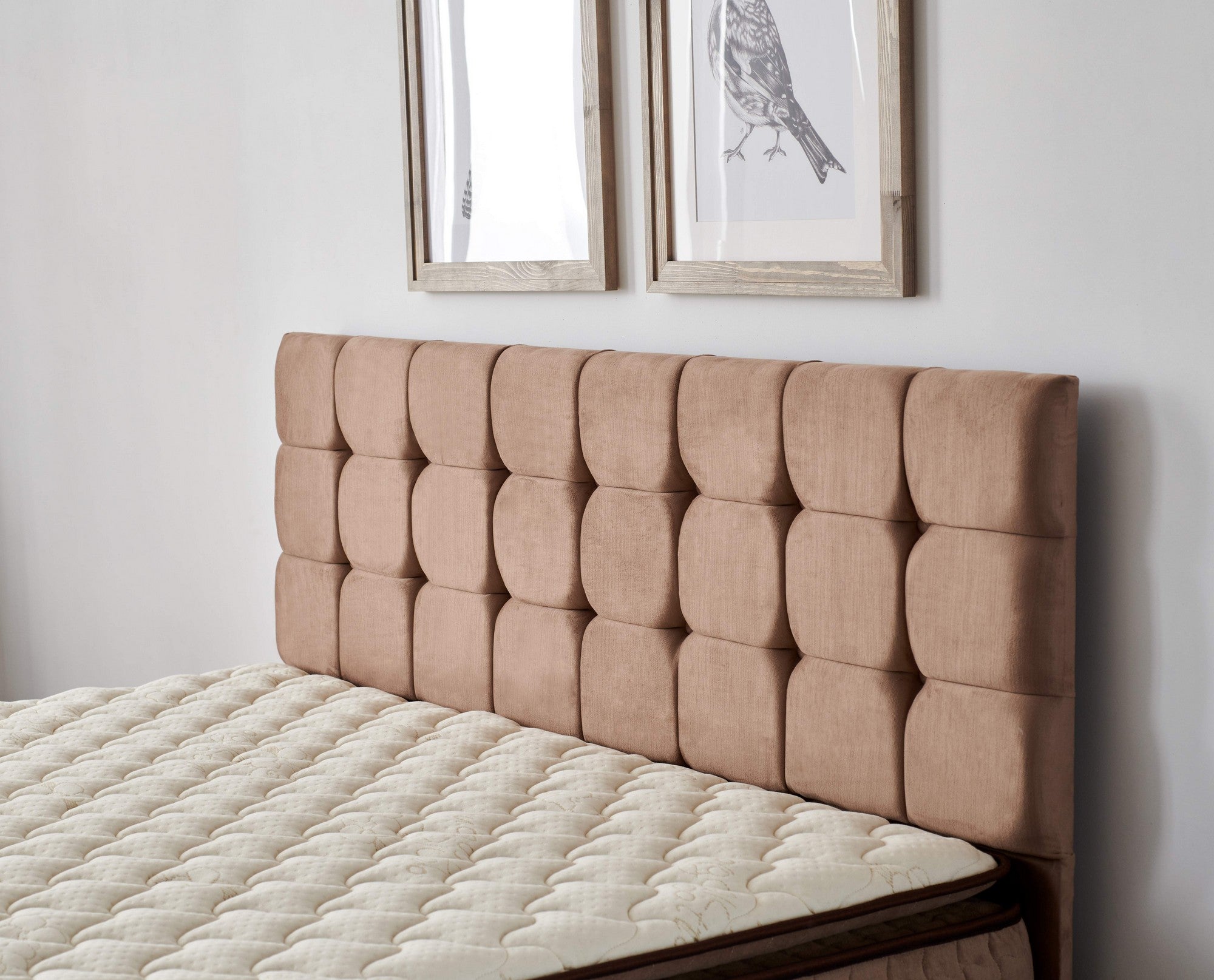 Colchão ortopédico, 150 x 200 cm, ultra firme com malha 100% algodão, sistema de molas múltiplas, espuma macia para acolchoamento, qualidade hoteleira, branco e marrom